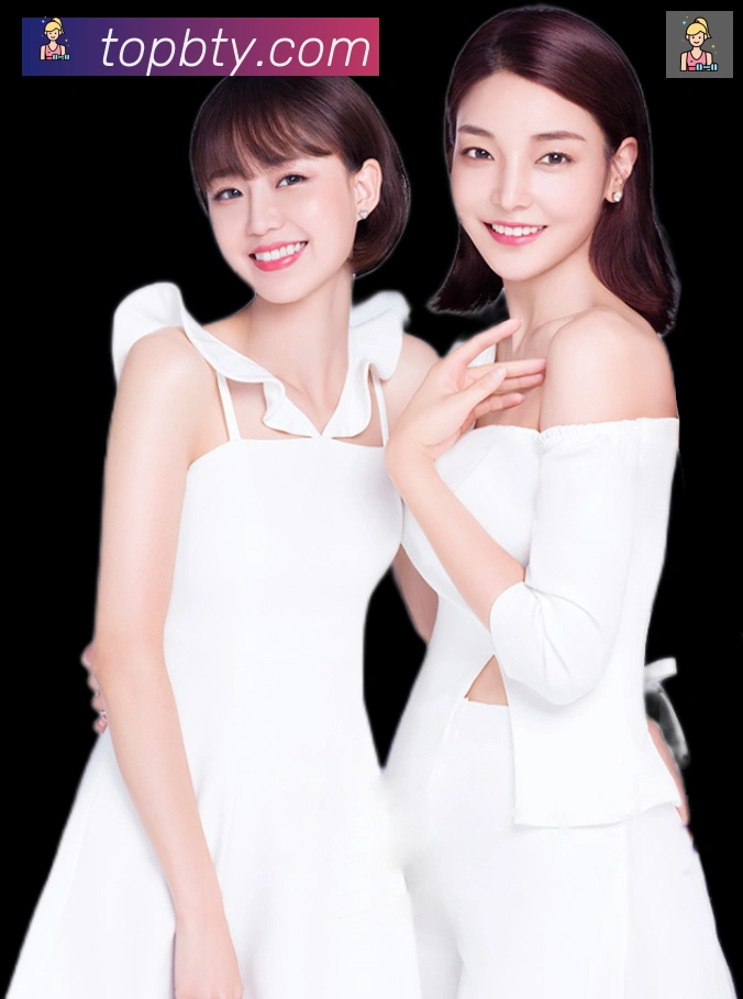 B体育官网发展历程